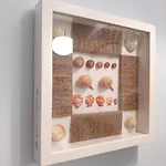 I Velieri Apartamento