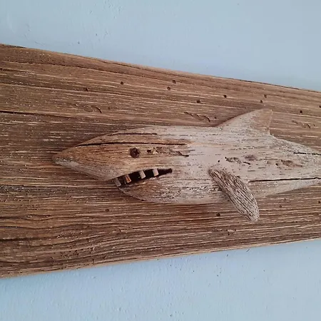 I Velieri 체제나티코