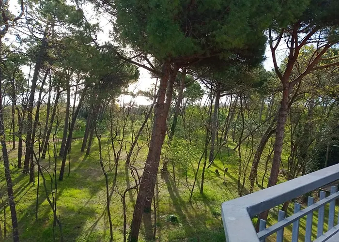 I Velieri * 체제나티코