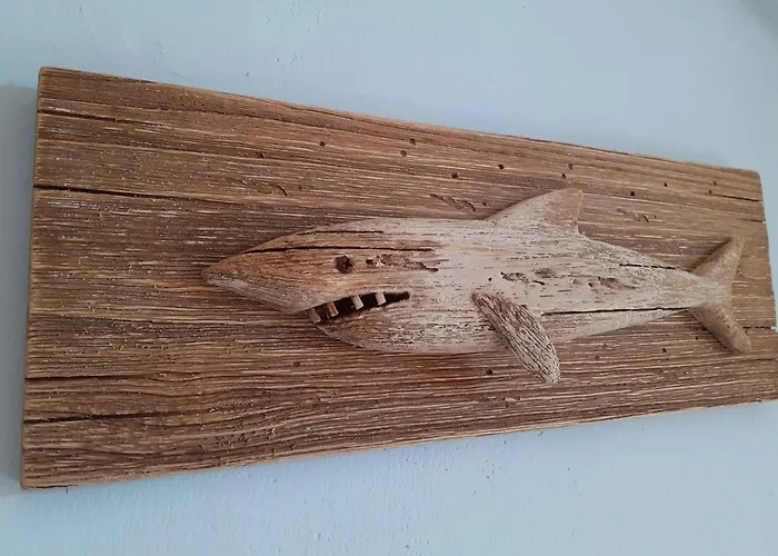 I Velieri 체제나티코