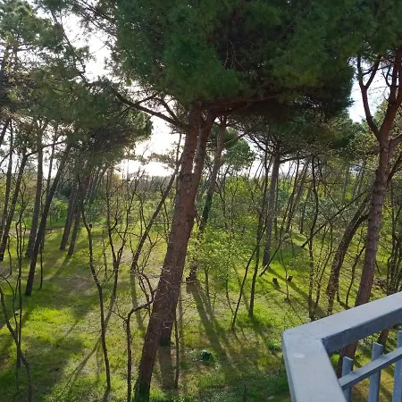 I Velieri * Cesenatico