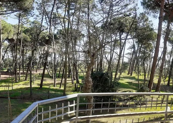 I Velieri Appartement